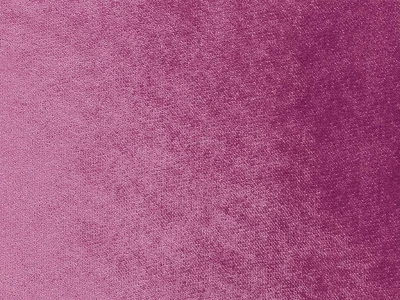 Safari (Сафари) 1001