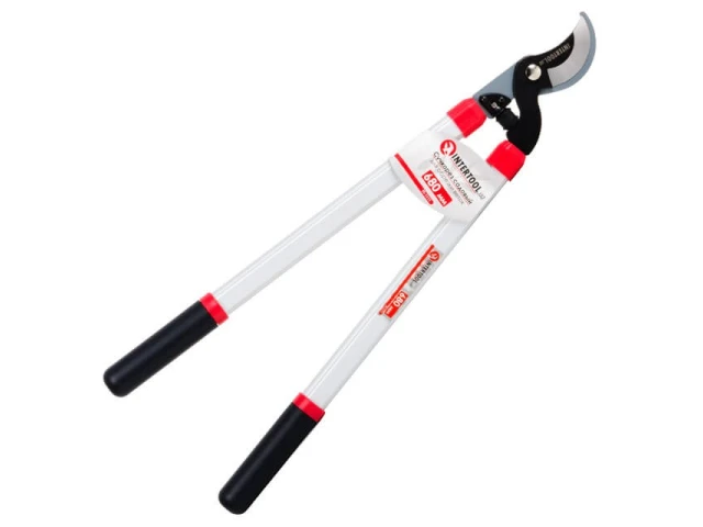 Сучкоріз садовий для обрізання гілок 680 мм INTERTOOL FT-1111 