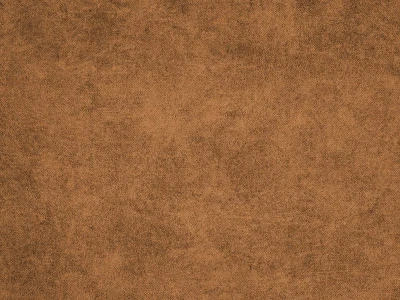 Teddy (Тедди) 110