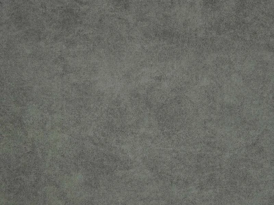 Teddy (Тедди) 17