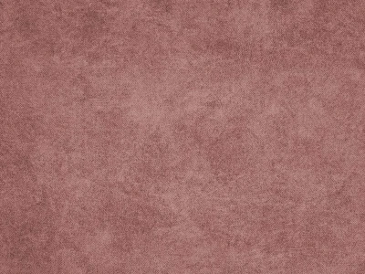 Teddy (Тедди) 22