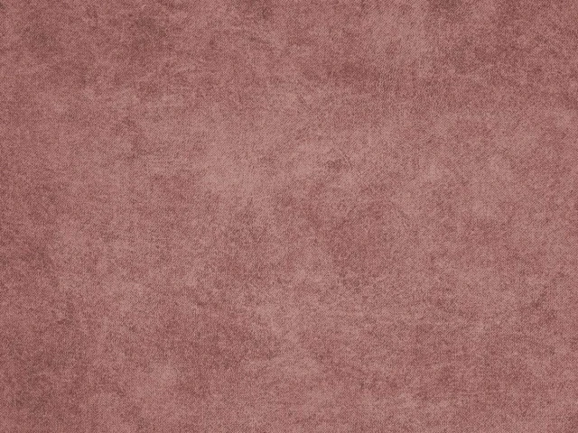 Teddy (Тедди) 22 