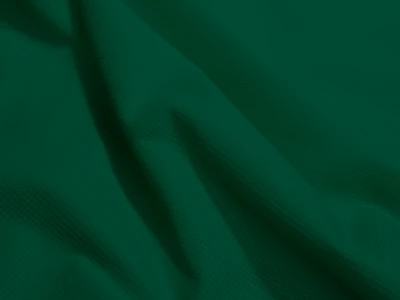 Blic (Бліц) 24 Зелений