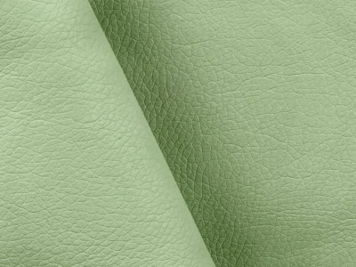 Arena (Арена) 453 Світло-зелений