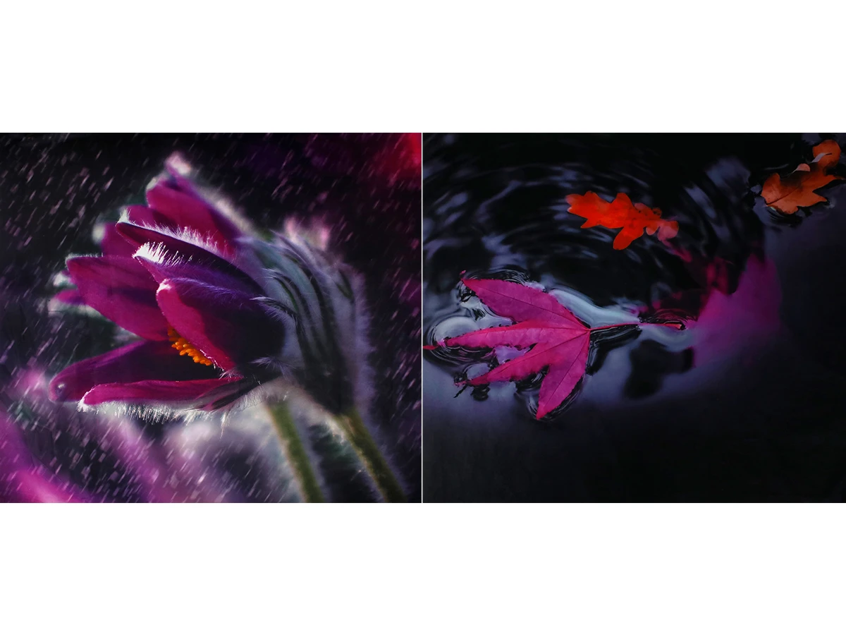 Купон Flower (Квітка) 