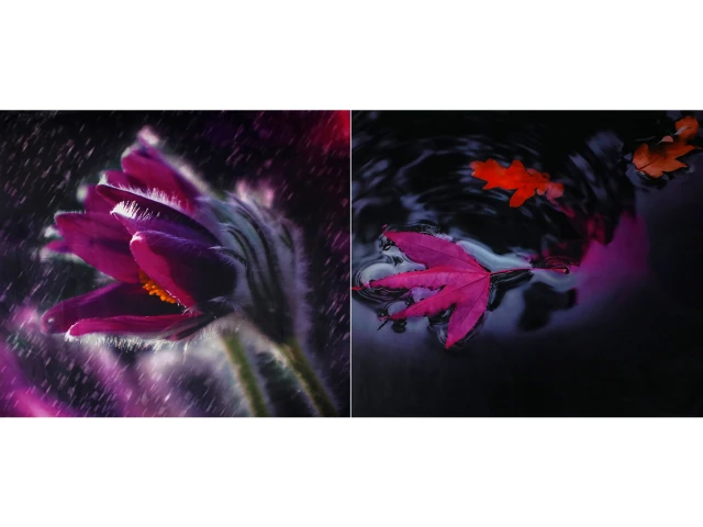 Купон Flower (Квітка) 