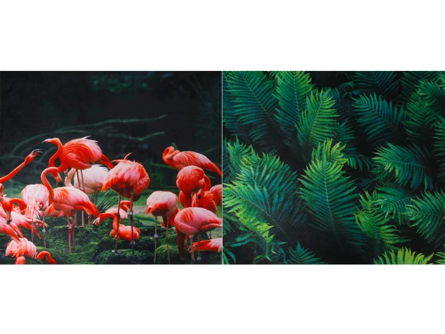 Купон Фламінго 