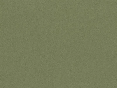 Matt Velvet (Мат вельвет) 34 Світло-зелений