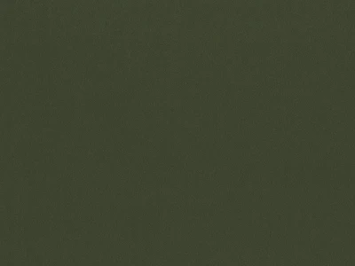 Matt Velvet (Мат вельвет) 38 Зелений