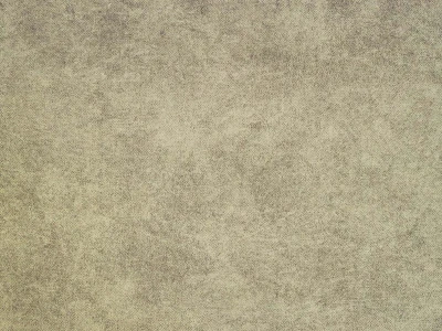 Teddy (Тедди) 102