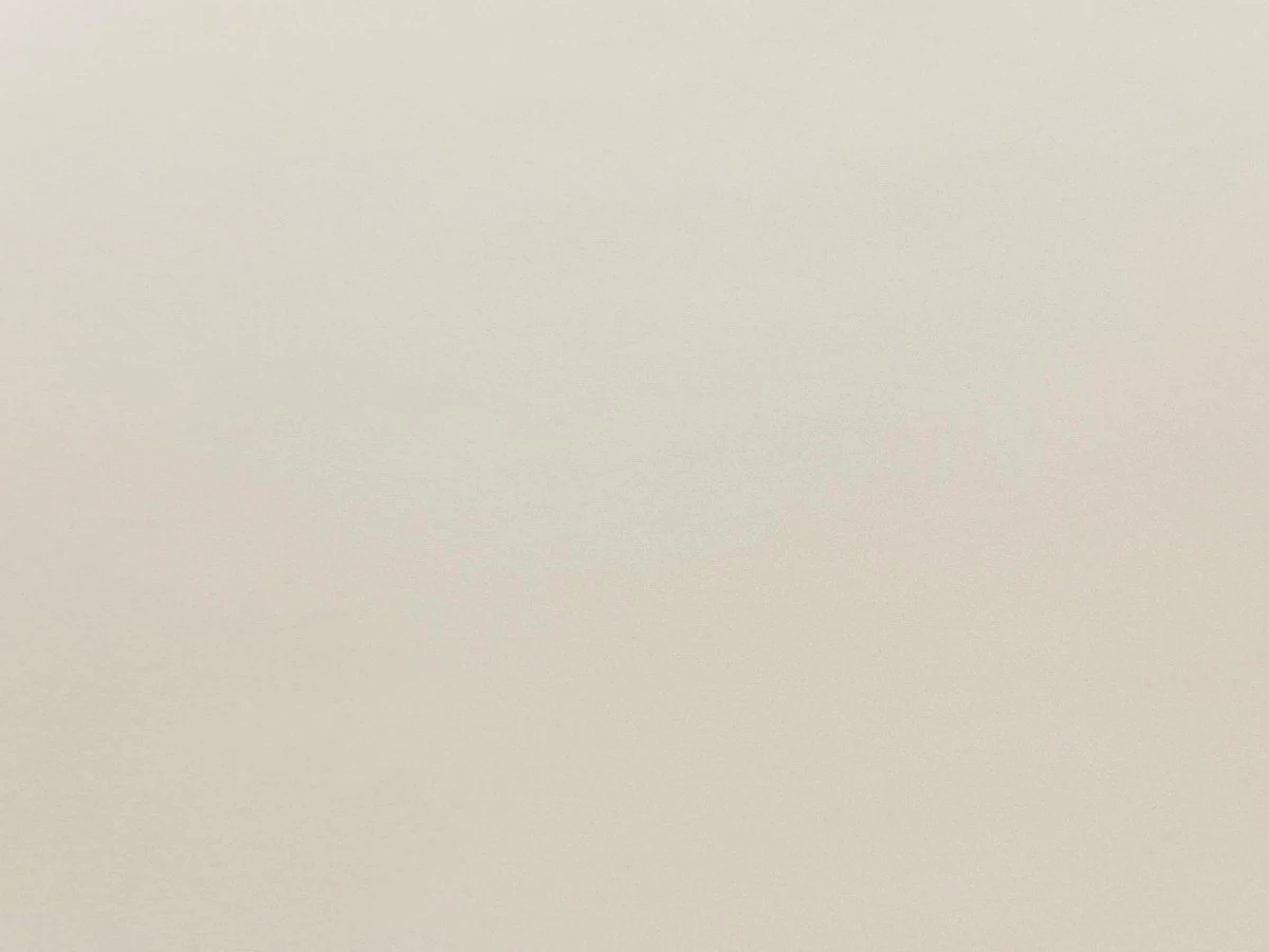 Venus Velvet (Венус Вельвет) 2927 Бежевий 