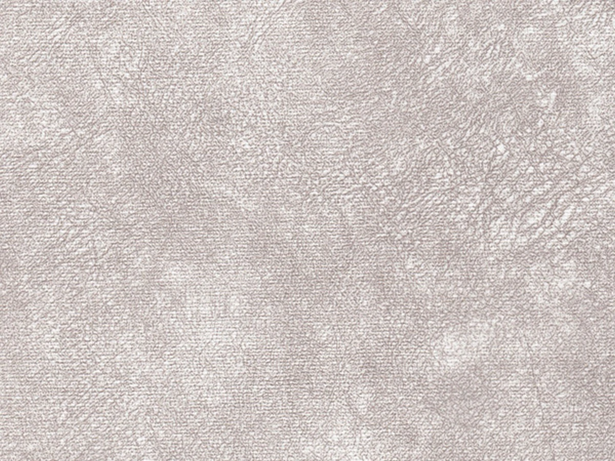 WR-Rali (ВР-Ралі) 01 White 