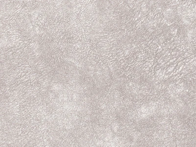 WR-Rali (ВР-Ралі) 01 White