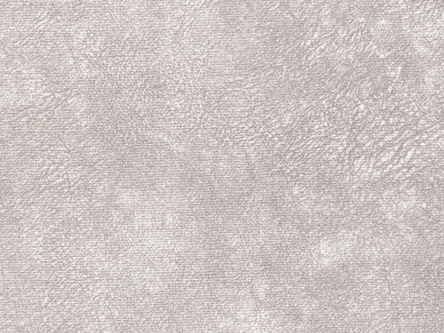 WR-Rali (ВР-Ралі) 01 White 