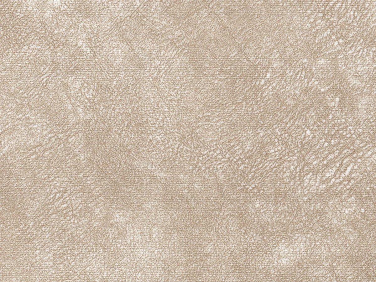 WR-Rali (ВР-Ралі) 02 Lt.Beige 