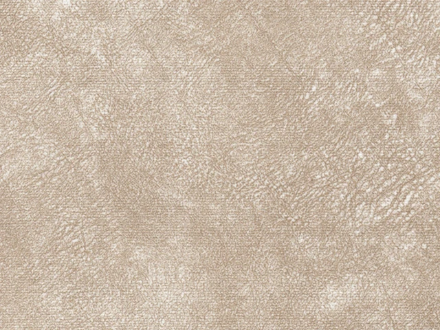 WR-Rali (ВР-Ралі) 02 Lt.Beige 