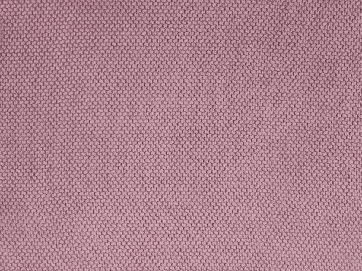 Lvov (Львов) Rose 