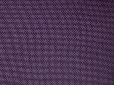 Lvov (Львов) violet