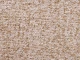 Forever (Форевер) Beige 
