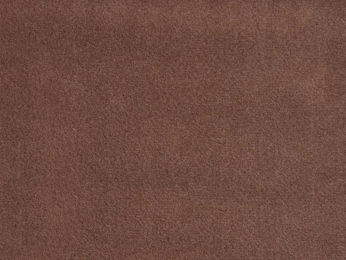 Erica (Эрика) 53 Кэмел 