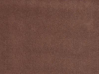 Erica (Эрика) 53 Кэмел