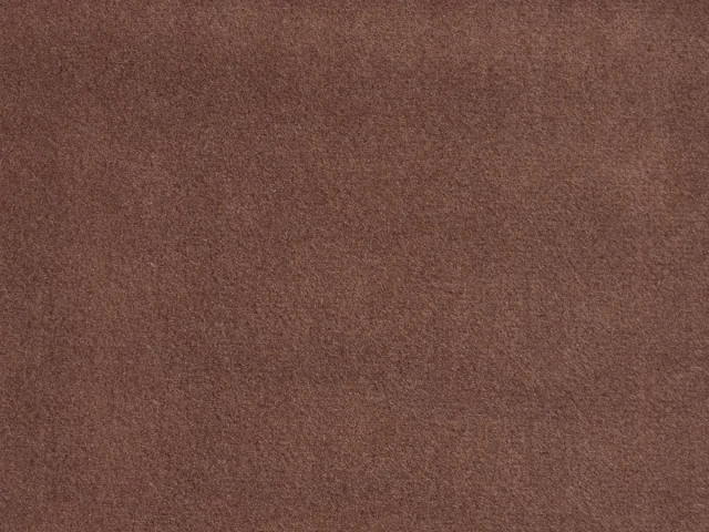 Erica (Эрика) 53 Кэмел 