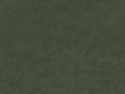 Esperta(Есперта) 10