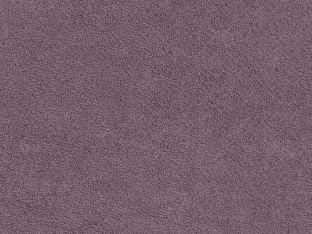 Esperta(Есперта) 11 