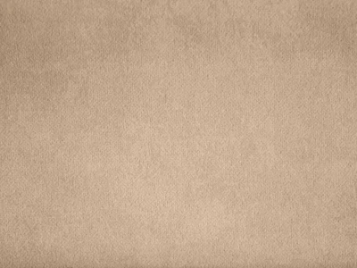 Salvia (Сальвія) 08 Темно-бежевий