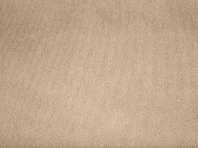 Salvia (Сальвія) 08 Темно-бежевий 