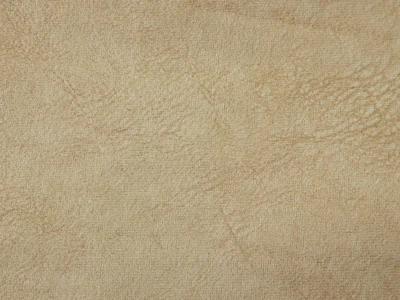 Polly (Полі) 206