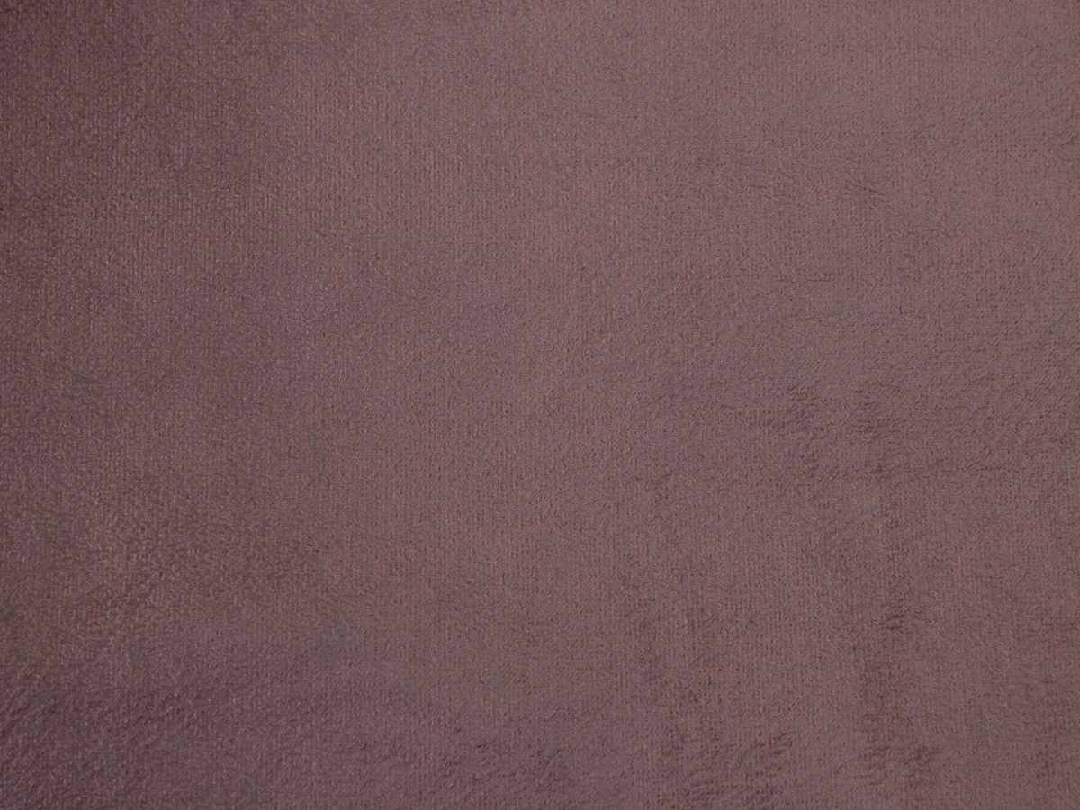 Polly (Полі) 211 