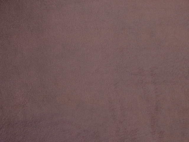 Polly (Полі) 211 