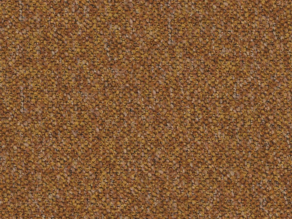 Adventure (Едвенчер) 51 Гірчичний 