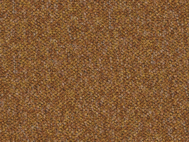 Adventure (Едвенчер) 51 Гірчичний 