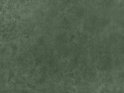 Morant (Морант) 11