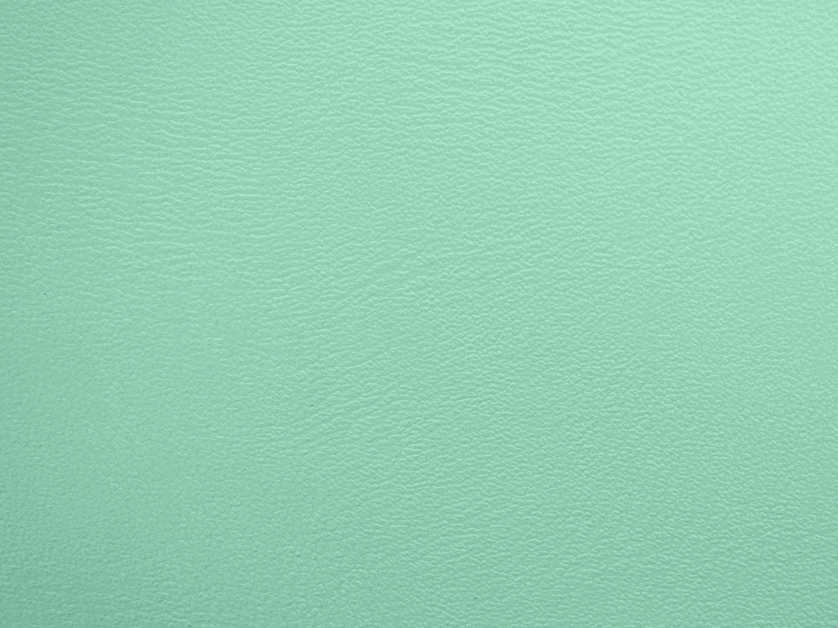 TS Зелена м'ята 