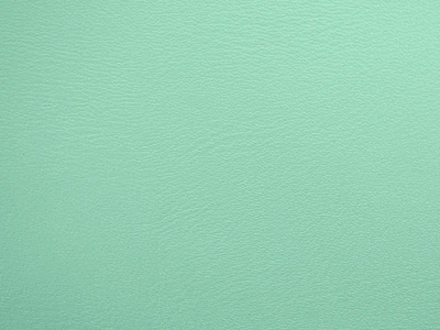 TS Зелена м'ята