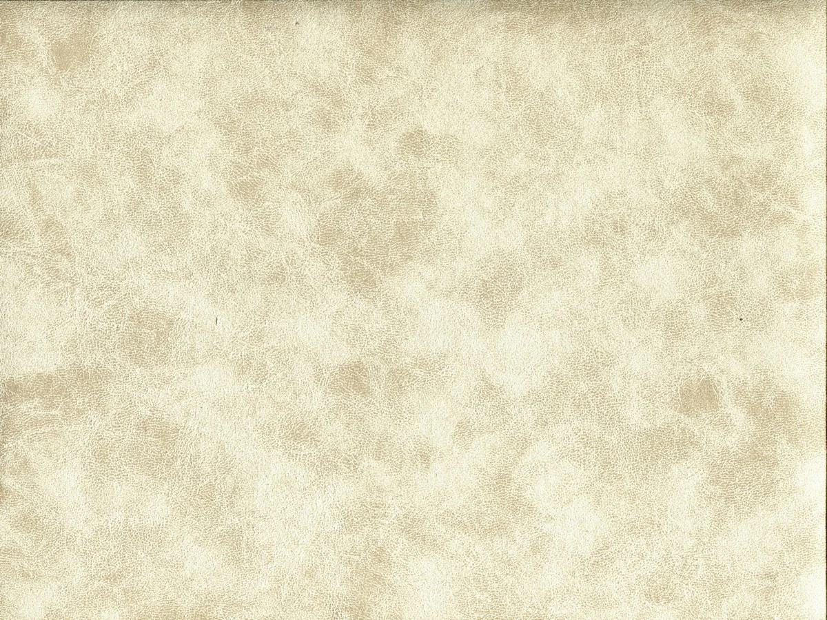 Chelsea (Челсі) 04 Кремовий 