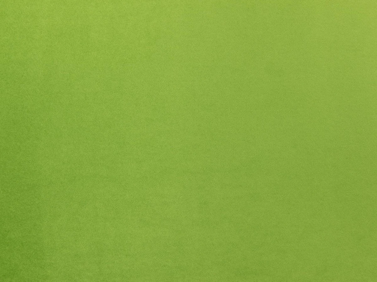 Venus Velvet (Венус Вельвет) 2913 Салатовий 