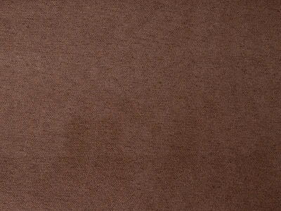 Acura (Акура) 10 Бурый