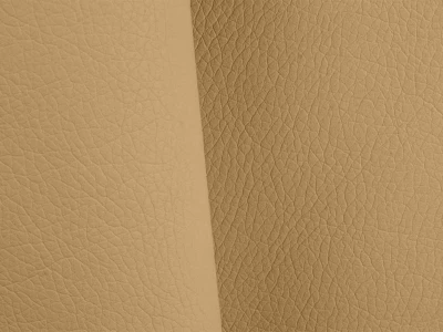 Arena (Арена) 119 Темно-бежевий