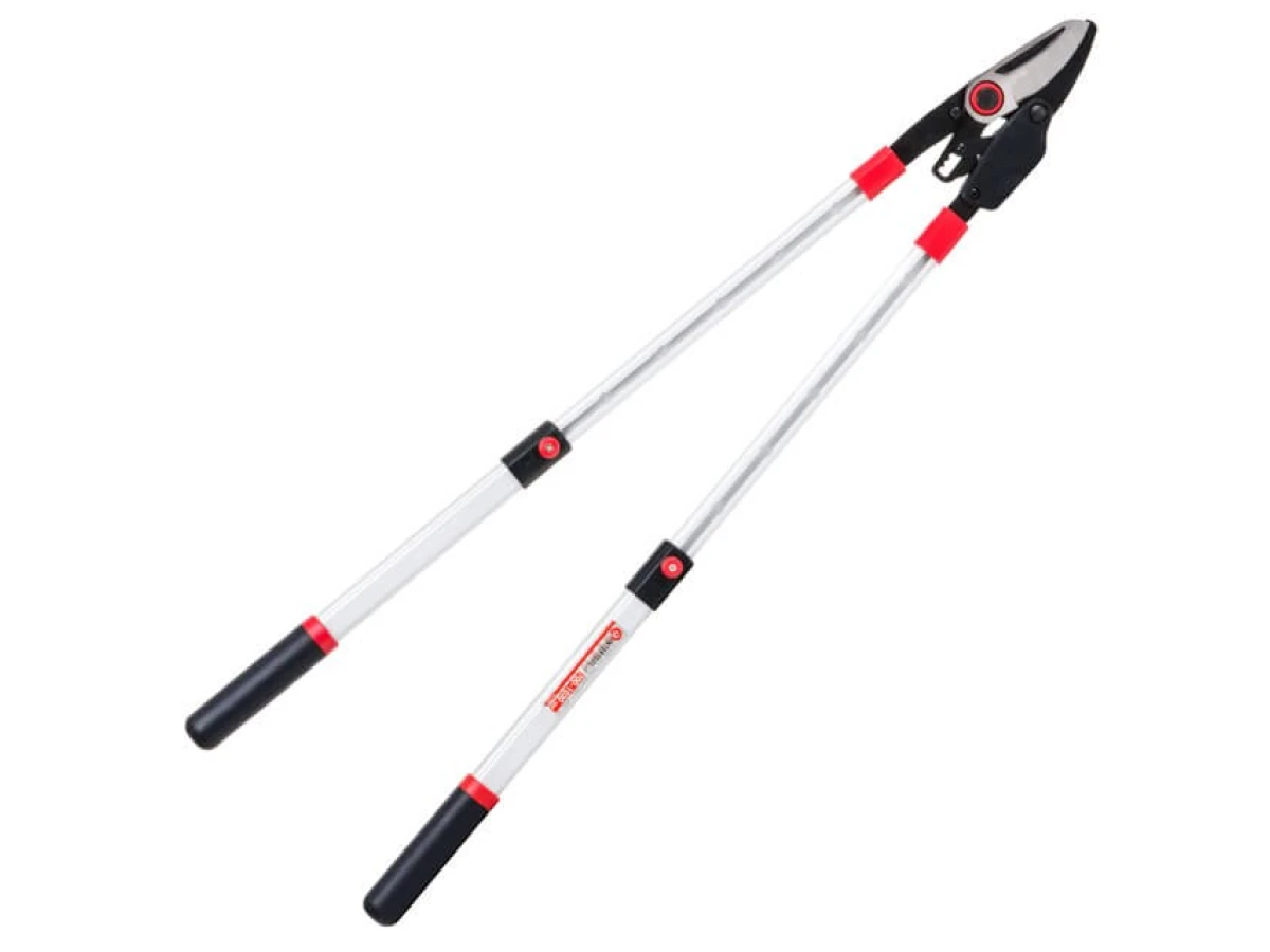 Сучкоріз садовий для обрізання гілок з храповим механізмом, з телескопічними ручками 700-1030 мм INTERTOOL FT-1118 