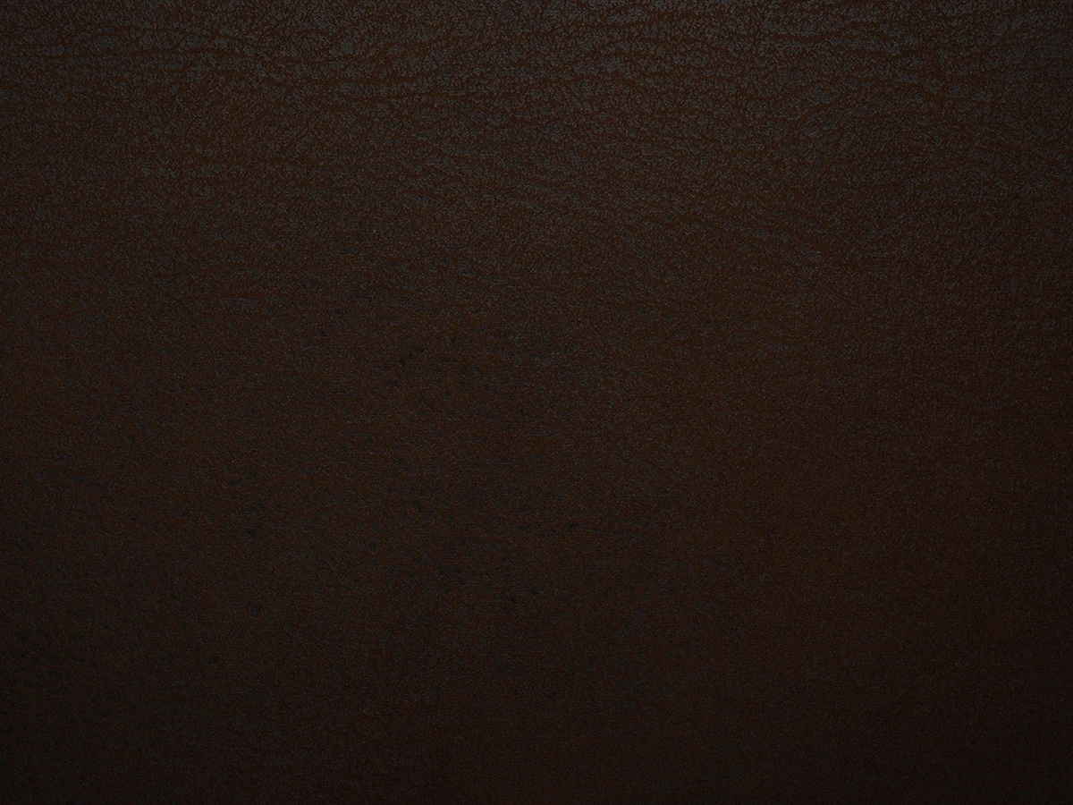 Ford (Форд) 13 Каштановий 