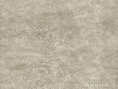 Arena (Арена) 3 Бежево-сірий