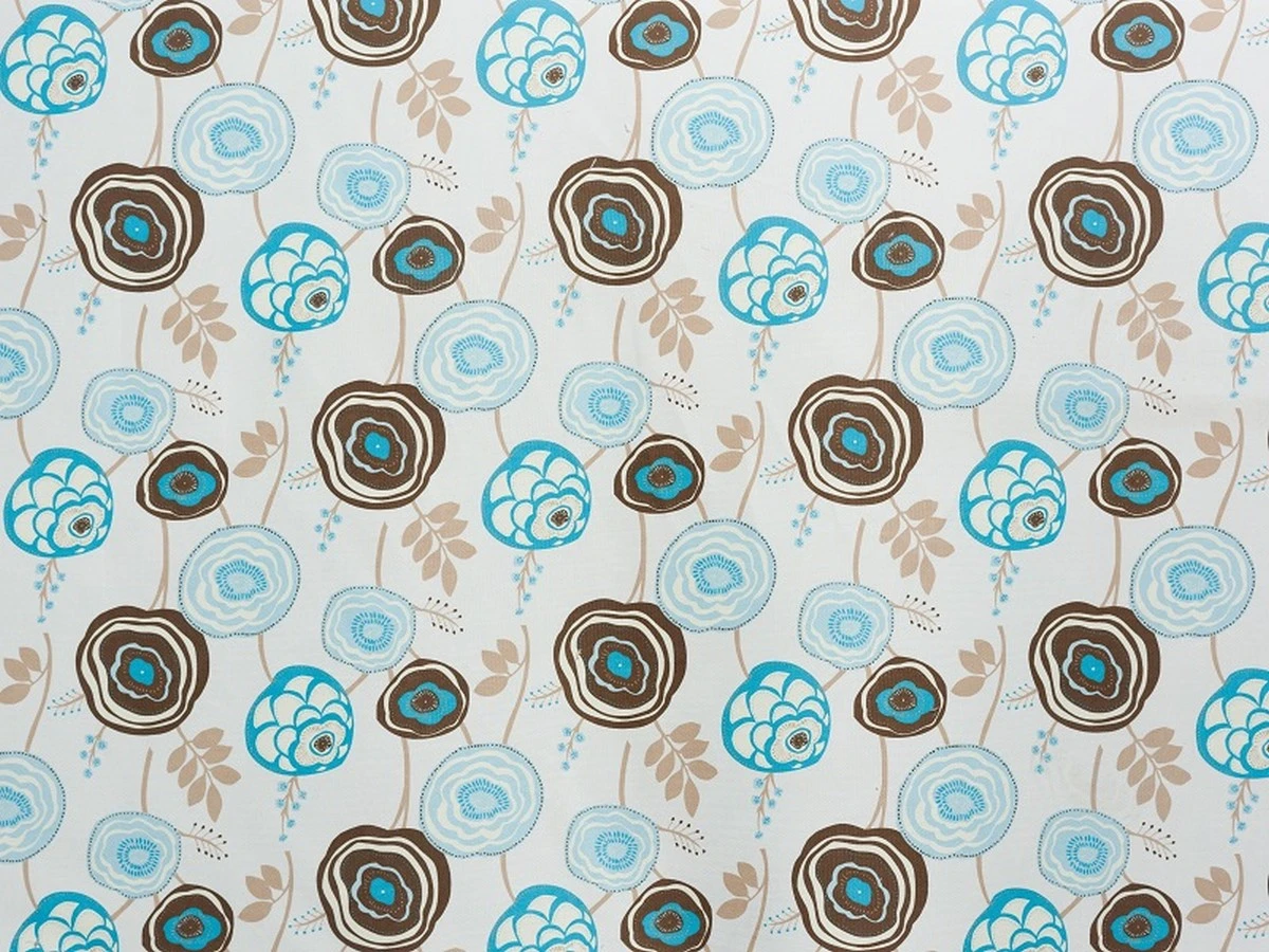 Begonia (Бегонія) 268 