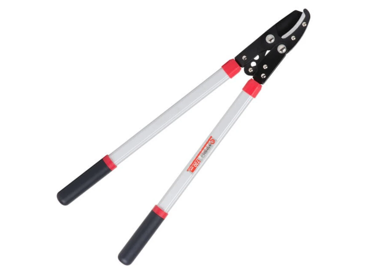 Сучкоріз садовий для обрізання гілок 730 мм INTERTOOL FT-1112 