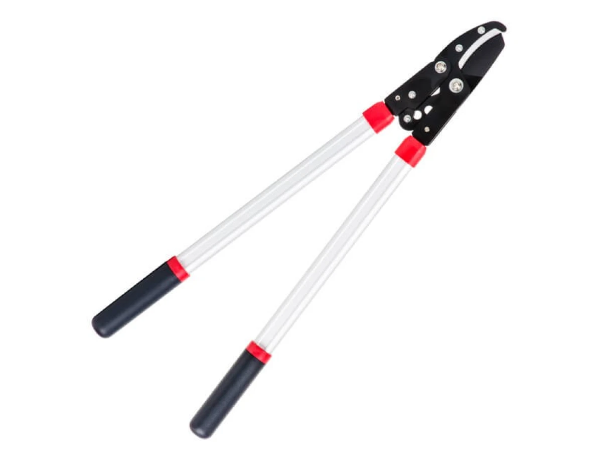 Сучкоріз садовий для обрізання гілок 730 мм INTERTOOL FT-1112 