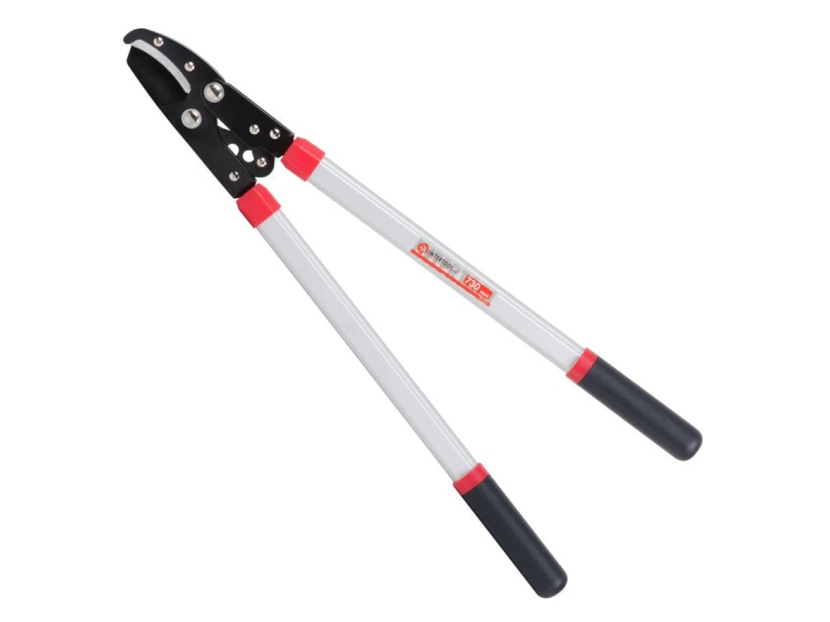 Сучкоріз садовий для обрізання гілок 730 мм INTERTOOL FT-1112 