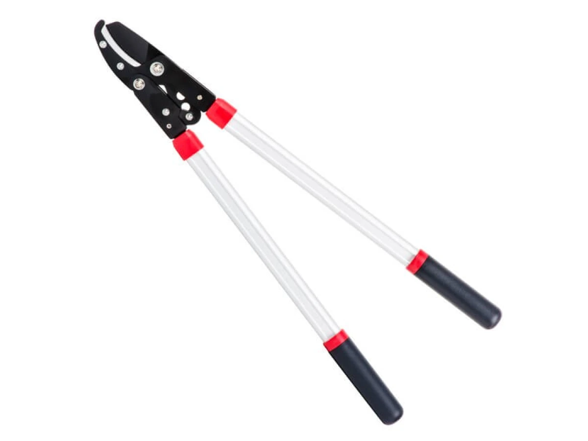 Сучкоріз садовий для обрізання гілок 730 мм INTERTOOL FT-1112 